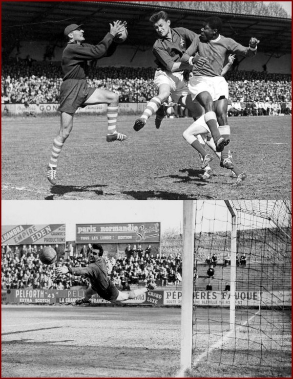 Tirage Photo Vintage 1950 – Singe Joueur De Football – Humour Et Sport – Format 12x16 – Certifié